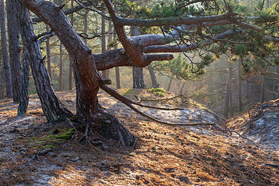 BUITEN BEELD Foto: 403501