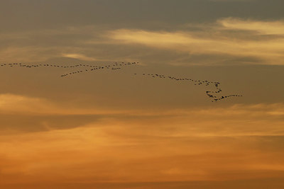 BUITEN BEELD Foto: 403572