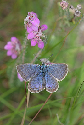 BUITEN BEELD Foto: 403639