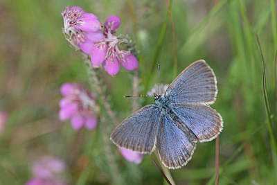 BUITEN BEELD Foto: 403670