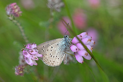BUITEN BEELD Foto: 403682