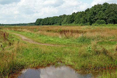 BUITEN BEELD Foto: 403892