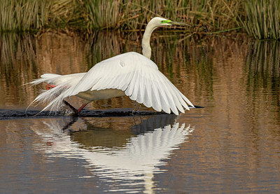 BUITEN BEELD Foto: 403913