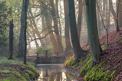 BUITEN BEELD Foto: 403951