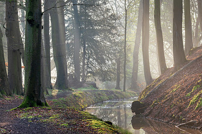 BUITEN BEELD Foto: 403952