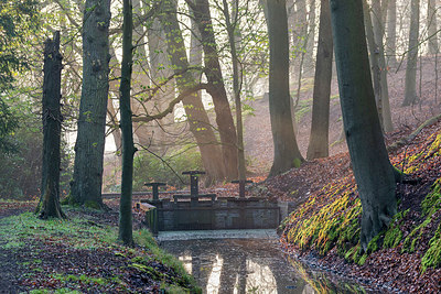 BUITEN BEELD Foto: 403953