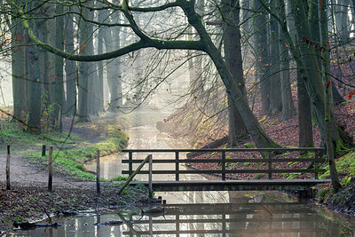 BUITEN BEELD Foto: 403954