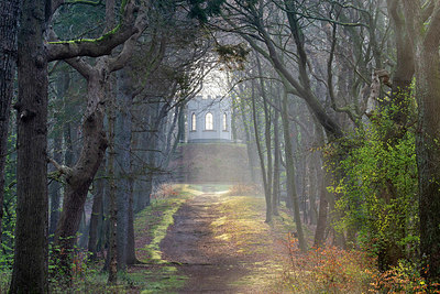 BUITEN BEELD Foto: 403955