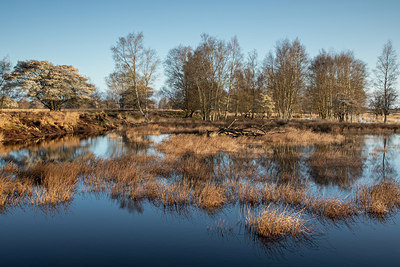 BUITEN BEELD Foto: 403981