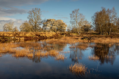 BUITEN BEELD Foto: 403985