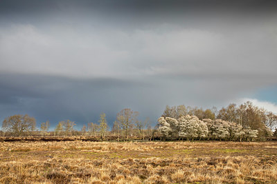 BUITEN BEELD Foto: 403989