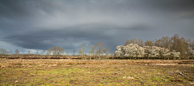 BUITEN BEELD Foto: 403990