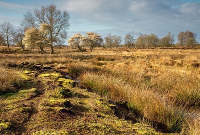 BUITEN BEELD Foto: 403999