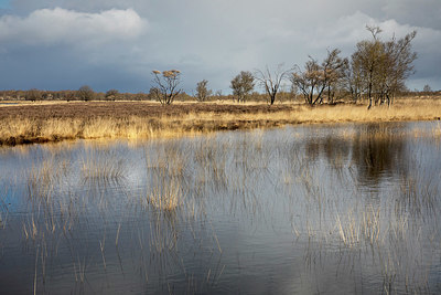 BUITEN BEELD Foto: 404005