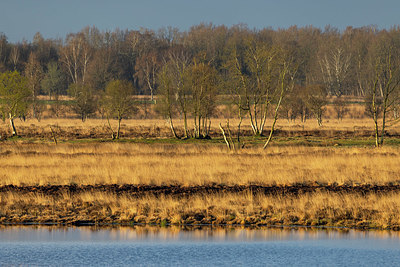 BUITEN BEELD Foto: 404008