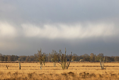 BUITEN BEELD Foto: 404010