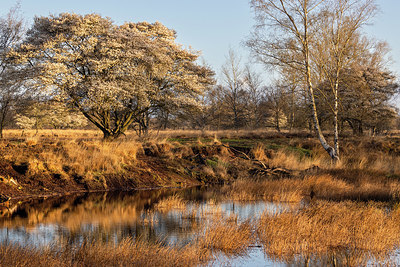 BUITEN BEELD Foto: 404012