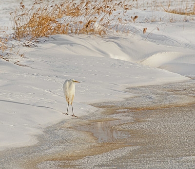 BUITEN BEELD Foto: 404018