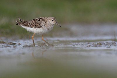 BUITEN BEELD Foto: 404121