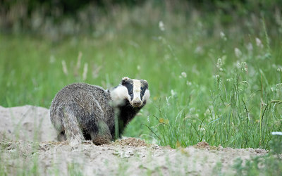 BUITEN BEELD Foto: 404130