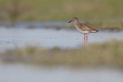 BUITEN BEELD Foto: 404132