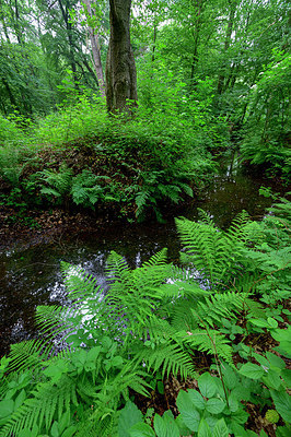 BUITEN BEELD Foto: 404138