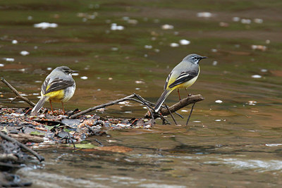 BUITEN BEELD Foto: 404194