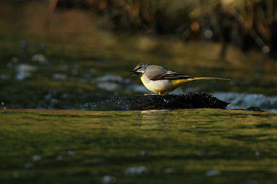 BUITEN BEELD Foto: 404208