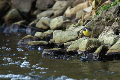 BUITEN BEELD Foto: 404209