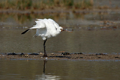 BUITEN BEELD Foto: 404226