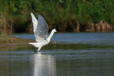 BUITEN BEELD Foto: 404232