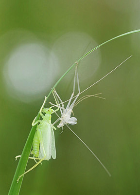 BUITEN BEELD Foto: 404256