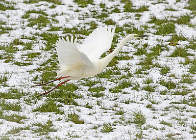 BUITEN BEELD Foto: 404264