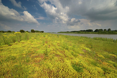 BUITEN BEELD Foto: 404328