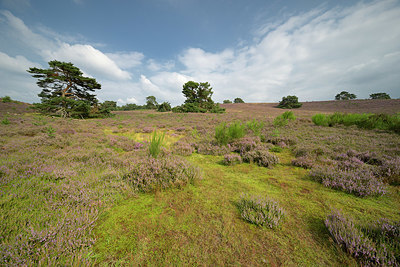 BUITEN BEELD Foto: 404332