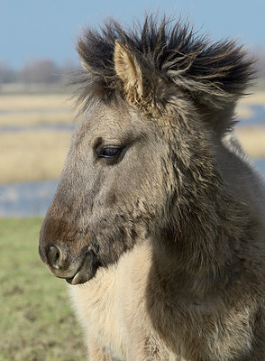 BUITEN BEELD Foto: 404335