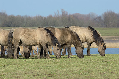 BUITEN BEELD Foto: 404337