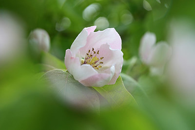 BUITEN BEELD Foto: 404349