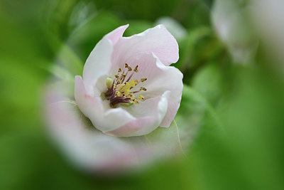 BUITEN BEELD Foto: 404350
