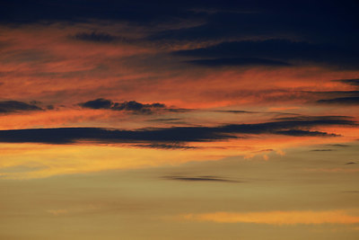 BUITEN BEELD Foto: 404357