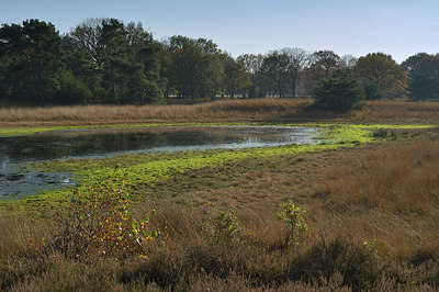 BUITEN BEELD Foto: 404364