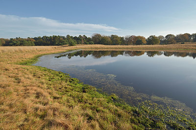 BUITEN BEELD Foto: 404367