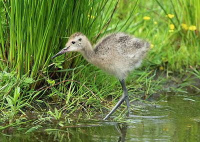 BUITEN BEELD Foto: 404423