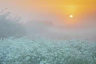 BUITEN BEELD Foto: 404426