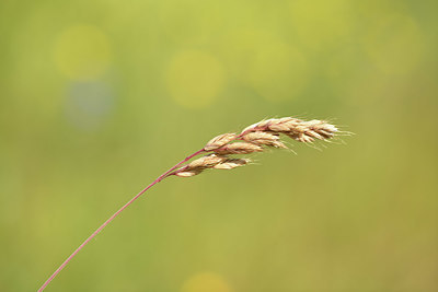 BUITEN BEELD Foto: 404632