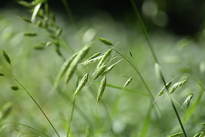 BUITEN BEELD Foto: 404637