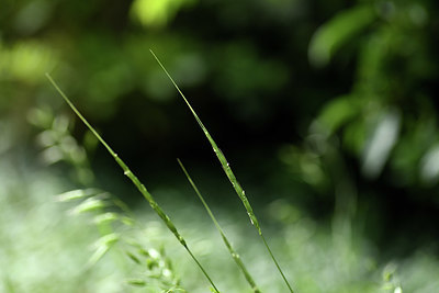 BUITEN BEELD Foto: 404638