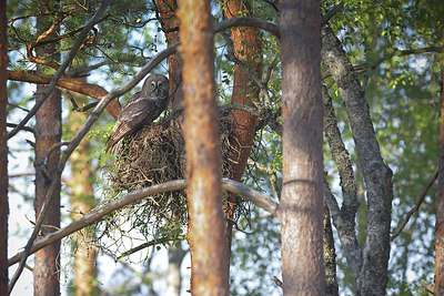 BUITEN BEELD Foto: 404671