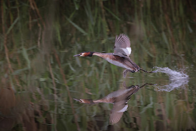 BUITEN BEELD Foto: 404676