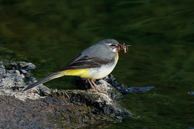 BUITEN BEELD Foto: 404725